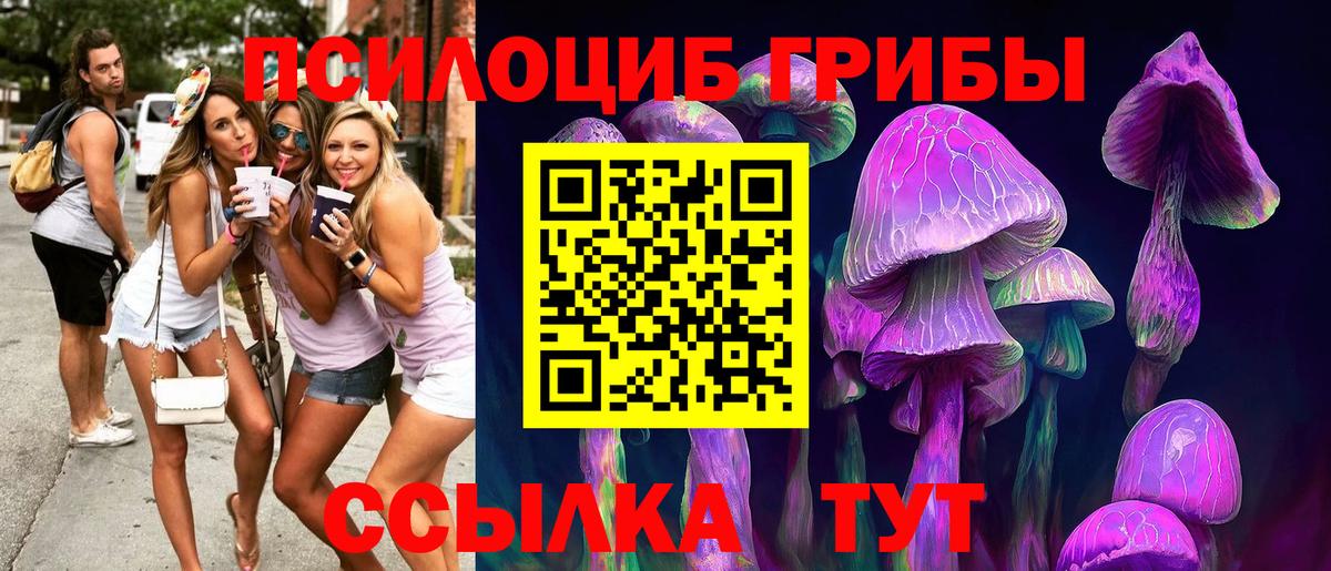 Аша  Псилоцибиновые грибы прущие грибы  Вход с VPN 