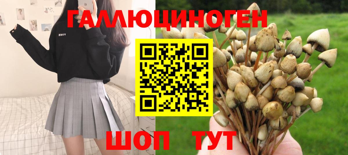 ГАШИШ  NBOMe  Аша  Меф МЯУ МЯУ кристаллы  Экстази  ГАШ  Вход с VPN  Купить наркотик  Alpha-PVP СК   LSD-25  Кокаин  Конопля 
